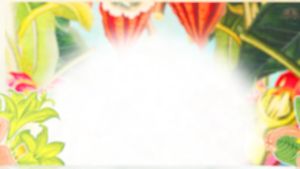 Plantation Pineapple Stiggins Fancy 700ml