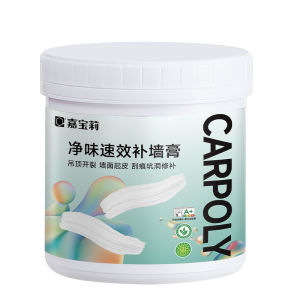 CARPOLY | Crack Repairing Filling Paste White