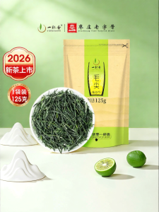 YIBEIXIANG | Xinyang Spring Green Tea 125g