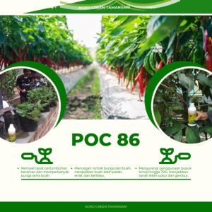 Pupuk Organik Cair untuk Pertumbuhan dan Buah Maksimal