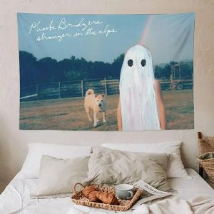 VIKAMA Phoebe Bridgers Album Cover Wall Tapestry Polyester Wall Hanging for Bedroom Dorm Music Room Indie Home Decor