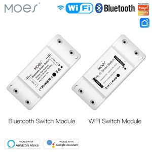 WiFi & Bluetooth Smart Light Switch: Universal Breaker Timer & Smart Life APP Remote Control