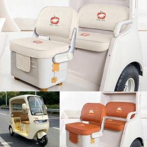 Customized Electric Trike Accessory Set Includes Seat Covers & Mats