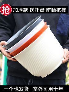 Resin Plastic Flower Pot Thickened Environmental-Friendly Anti-Ceramic Flower Pot Large Green Rose Rose Succulent Small Flower Pot Indoor Balcony