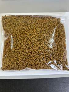 { 1kg } Repack Cat Food (Chicken Tuna with Milk)