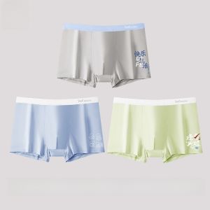 MiiOW | Teenage Boys Ice Silk Modal Briefs Antibacterial Flat Angle Underwear Comfortable Soft Fabric For Growing Teens And Young Adults