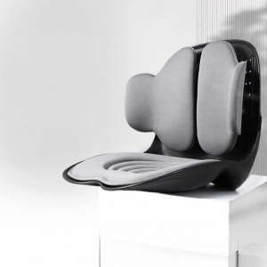 MOLORE | Ergonomic Lumbar Support Cushion for Pregnant Women and Office Use