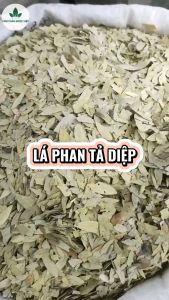 Phan tả diệp 500g lá phan tả diệp khô sạch không vụn không lẫn tạp chất - Chợ Thảo Dược Việt