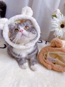 nón hình cà rốt cà tím hướng dương dành cho chó mèo - T3 PETS SHOP