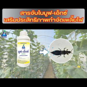 มูฟ-เอ็กซ์ ขนาด 50 ซีซี สารจับใบ ออกาโนซิลิโคน ใช้เพิ่มประสิทธิภาพสารกำจัดเพลี้ยไฟ จาก ทีเอบี MoveX 50 cc Surfactant Organosilicone from TAB