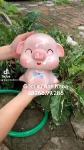 Giá Siêu Rẻ - Heo/lợn đất tiết kiệm Sz TO 16cm ( kèm video ảnh thật)