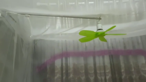 (Giảm giá) Thanh treo quạt màn Inox Tiến Đạt 201- giá rẻ- bền tiện dụng