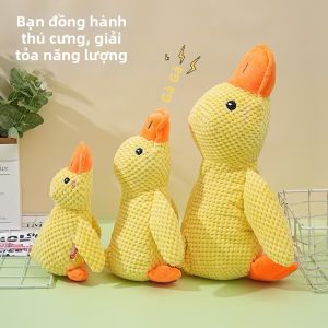 Petone dOrage | Squeaking Chewing Self-Entertaining Dog Toy