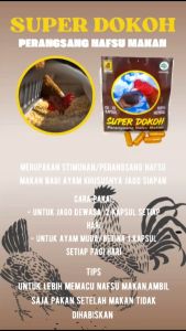 JALU AJI SUPER DOKOH - 1 RENTENG