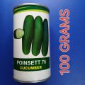 Poinsett 76 (100 grams) Cucumber Seeds / Pipino Seeds by Condor. 