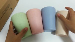 Gelas Jerami Set 4 Murah & Cangkir Kopi Bahan Wheat Straw