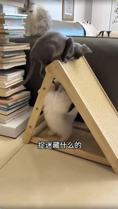 SG Stock Multi-Functional Cat Scratching Board & Bed – Foldable Solid Wood Scratcher with Sisal Durable & Non-Shedding Modular Vertical Design Cat Bed