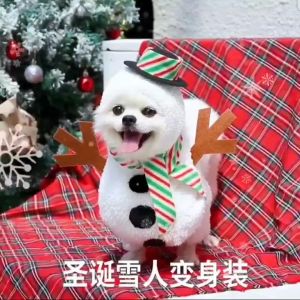 Baju natal anjing dan kucing baju hewan edisi natal model kostum snowman