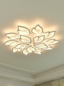 Modern And Simple LED Living Room Ceiling Light Acrylic Ceiling Light Elegant and Eye-protecting Bedroom Study Corridor and Kitchen Light