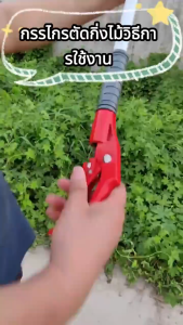 ของแท้ กรรไกรตัด-หนีบผลไม้ ยาว1.8-3 กรรไกรตัดหนีบผลไม้ด้ามยาว กรรไกร กรรไกรตัดกิ่ง กรรไกรแต่งกิ่งไม้ ตัดกิ่งไม้ กรรไกรตัดแต่งกิ่ง