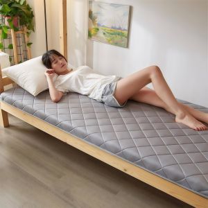 LINSY HOME ที่นอน 3 ฟุต 3.5ฟุต 5 ฟุต 6 ฟุต แก้ปวดหลัง พับเก็บได้ หนา พกพาสะดวก ที่นอน ท๊อปเปอร์
