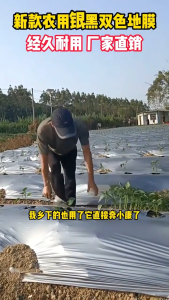 HOL Silvershine Japan Quality Thickened Plastic Mulch Film 4ft x 1.2m x 400m for Gardening