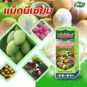 แม็กนีเซียม เร่งใบแก่ ใบหนา เขียวเข้ม เตรียมต้น ก่อนออกดอก ฮอร์โมน-อะมิโนพืช ปุ๋ยน้ำทางใบ ปุ๋ยยา หลายขนาด