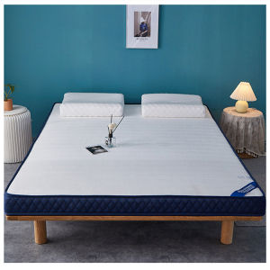 MOLORE | Soft Thick Foldable Mattress 1.2m