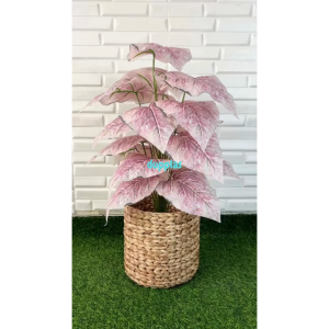 Pohon Plastik Tanaman Artificial Calladium Pink Full X18 Semilatex Cover Pot Eceng Gondok Dekorasi Ruang Tamu