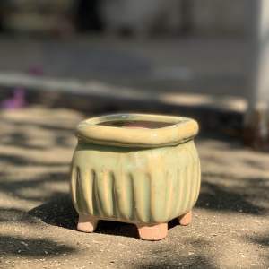 Chậu trồng cây sen đá/xương rồng nhập Trung chân vuông