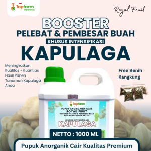 Pupuk Kapulaga Terbaik - Pupuk Pelebat Buah Kapulaga / Pupuk Cair Agar Kapulaga Cepat Berbuah / Booster Agar Tanaman Kapulaga Berbuah Lebat / Pupuk Khusus Pohon Kapulaga