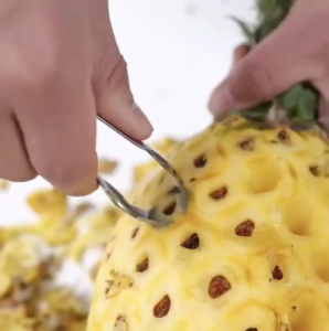 Alat Capit Nanas Stainless / Capitan Pembersih Mata Nanas Pineapple Seed Remover
