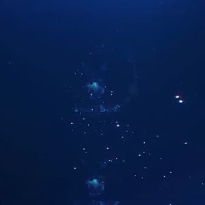 Playboy Men’s Wallet Bifold Pu Leather Card Holder Short Folding Purse RFID Blocking Trendy Dompet Lelaki