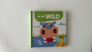 Yoyo Books - Pop up Adventure Series