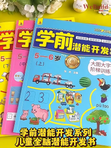 学前潜能开发系列（全套12册）幼儿左右脑智力开发练习册 儿童专注力培养绘本 Children Whole Brain Early Learning Chinese Exercise Work book Buku WeBuild