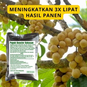 Pupuk Booster Kokosan: Meningkatkan Kualitas dan Produksi Buah