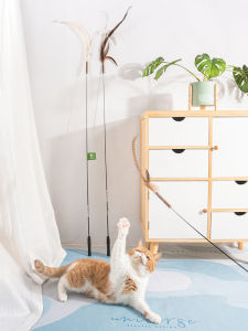 ของเล่นแบบโต้ตอบสำหรับสัตว์เลี้ยงแมวเหมียวเหมียวเหมียวเหมียวเหมียวเหมียวเหมียวเหมียวเหมียวเหมียวเหมียวเหมียวเหมียวเหมียวเหมียวเหมียวเหมียวเหมียวเหมียวเหมียวเหมียวเหมียวเหมียวเหมียวเหมียวเหมียวเหมียวเหมียวเหมียวเหมียวเหมียวเหมียวเหมียวเหมียวเหมียวเหมียว