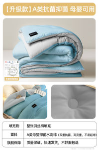 Thickened Warm Non-Cotton Quilt Student Four-Season Universal Polyester Fiber Fill Durable Washable for Autumn Winter Spring