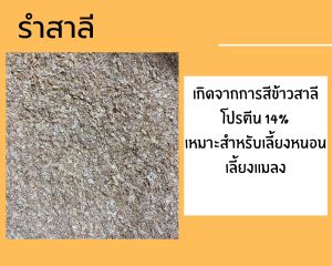 รำสาลี รำข้าวสาลี ใหม่ สะอาด แบ่งบรรจุ ******1kg 10kg💥พร้อมส่ง💥