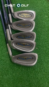Bộ gậy golf sắt nam Polomind 5 cây 789PS Flex R