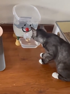 Automatic Pet Water Fountain Large Capacity 3L Powered Quiet Cat Dog Dispenser With Detachable Tank Feeding Box