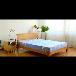 ผ้าปูที่นอน ราคาถูกส่งตรงจากโรงงาน ผ้าปูที่นอนลายการ์ตูน ผ้าปูที่นอนแบบรัดมุม ชุดเครื่องนอน ผ้าปูที่นอน5ฟุต 6ฟุต