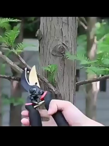 Gardening Pruning Shears SK5 High Carbon Steel Scissors Garden Plant Scissors Branch Hands Pruner Cutter for Planting Bonsai Sharp And Durable