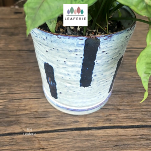 The Leaferie Chienti plant pots. flowerpot . flowerpots . flower pot . planter . planters . Ceramic . Plants