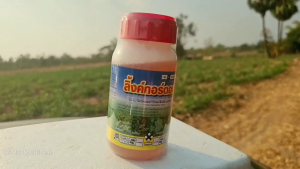 สารกำจัดเถาเครือร์"ลิ้งค์-กอร์ดอน"(12ขวด) กำจัดวัชพืช เถาวัลย์ เครือ โสน ตอไม้วัชพืชใบกว้าง 250cc จำนวน12 ขวด