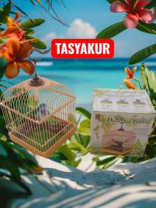 Mainan ANAK Burung Bergerak#Burung berkicaw