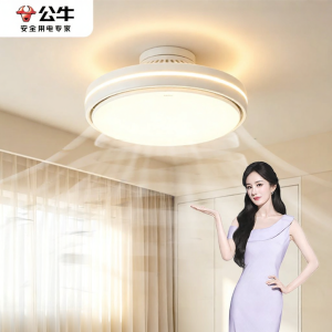 Bull | Remote Control Smart Timer Fan Light