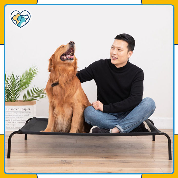 Large Pet Bed Elevated Dog Bed Washable Breathable Antibacterial Bed