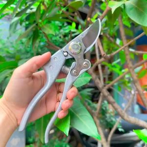 Kéo tỉa cành cắt cành Kéo cắt tỉa cây cảnh SK5 Yêu Bếp Nghiện Nhà VNM