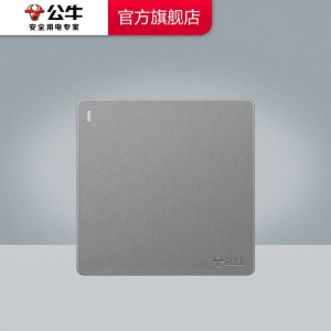 Bull | Single-Pole Wall Switch Socket